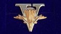 Костромские ювелиры сделали наградные значки кинешемскому Союзу десантников