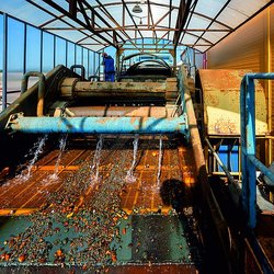 Более 98% сырья  Калининградского янтарного комбината покупатели оценили на «отлично»
