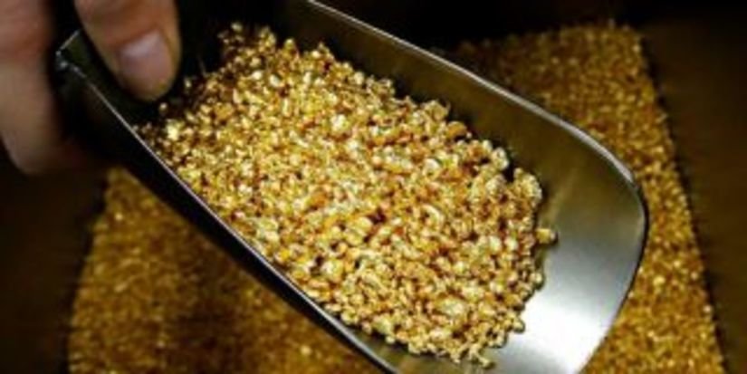 Объем добычи золота в Якутии может первысить 26 тонн