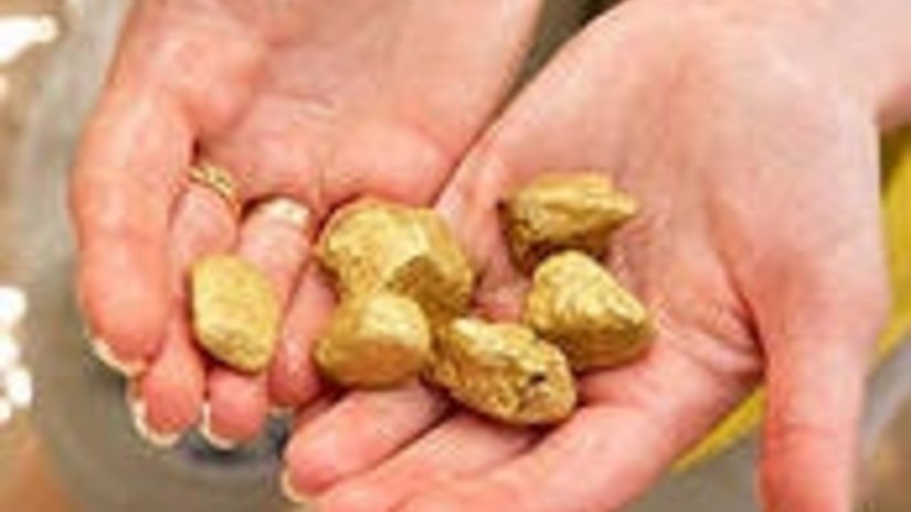 Инвесторы Южной Кореи готовы вложить $200 млн в кузбасское золото