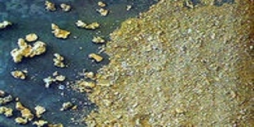 Колымский Павлик в 2014 г добудет 2,4 тонны золота