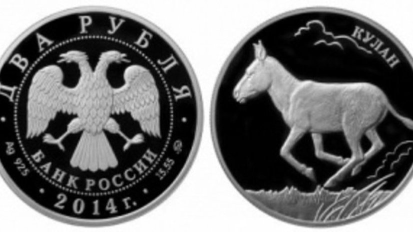 На монете Банка России изображен кулан