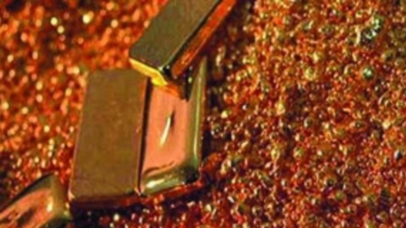 ФСБ Забайкалья изъяло из незаконного оборота 25,5 кг золота