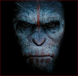 Андрей Андрей