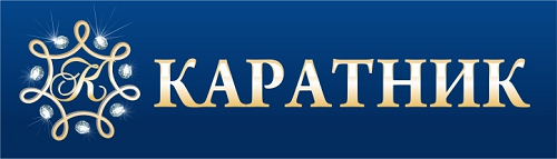 Шалкиев Виктор Николаевич, ИП