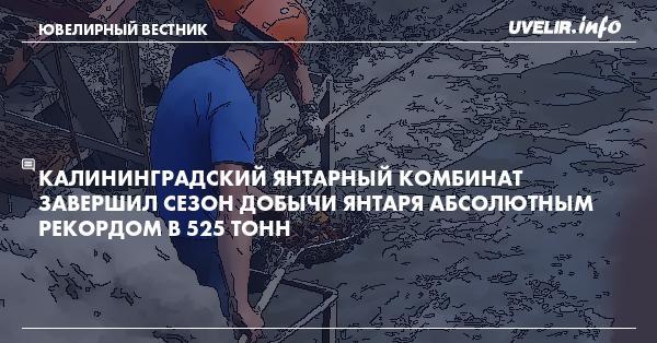 Калининградский янтарный комбинат завершил сезон добычи янтаря абсолютным рекордом в 525 тонн