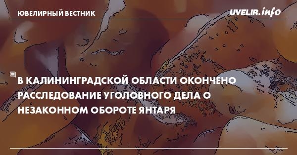 В Калининградской области окончено расследование уголовного дела о незаконном обороте янтаря
