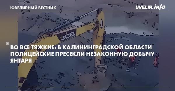 Во все тяжкие: В Калининградской области полицейские пресекли незаконную добычу янтаря