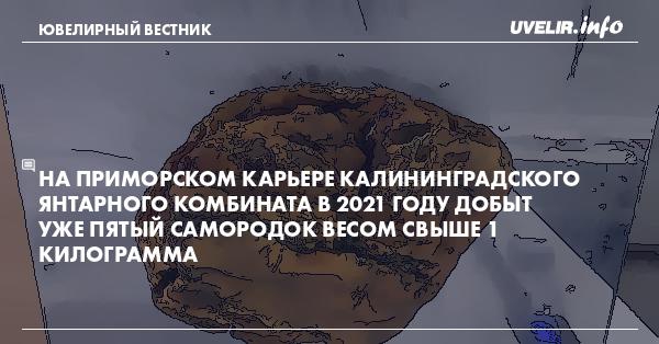 На Приморском карьере Калининградского янтарного комбината в 2021 году добыт уже пятый самородок весом свыше 1 килограмма