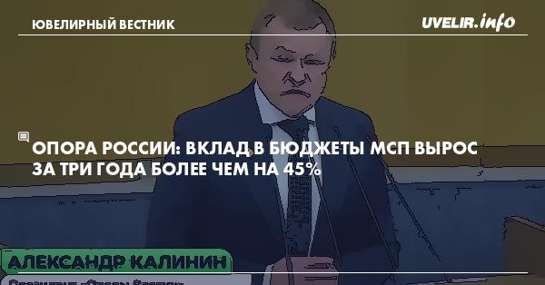 Опора России: Вклад в бюджеты МСП вырос за три года более чем на 45%