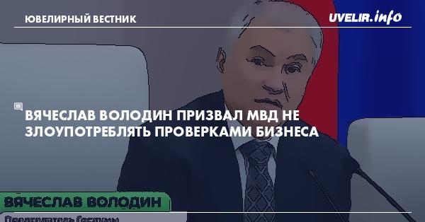 Вячеслав Володин призвал МВД не злоупотреблять проверками бизнеса