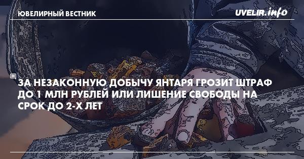 За незаконную добычу янтаря грозит штраф до 1 млн рублей или лишение свободы на срок до 2-х лет