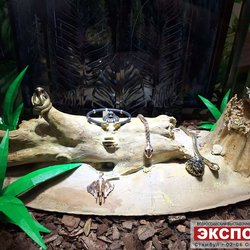 Фотоотчет с осенней выставки Istanbul Jewelry Show 2025: ювелирные изделия и технологии