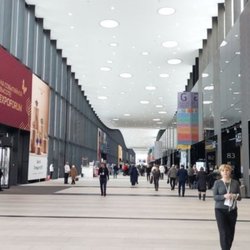 Фотоотчет с выставки JUNWEX Петербург 2025