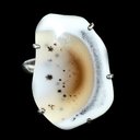 кольцо с кахолонгом