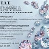 Т.Л.Т Даймонд, АО