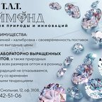 Т.Л.Т Даймонд, АО