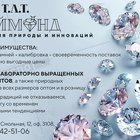 Т.Л.Т Даймонд, АО