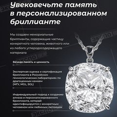 Диамори, ООО