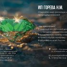 Горева Наталья Михайловна, ИП