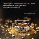 LegorGroup