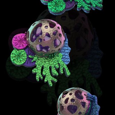 Необионика, изделие «Сердце Архимедузы»