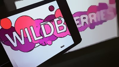 Как заблокировать магазин конкурента на Wildberries