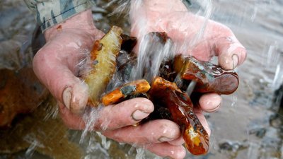 40 тыс. рублей за возможность беспрепятственно добывать янтарь в акватории Балтийского моря