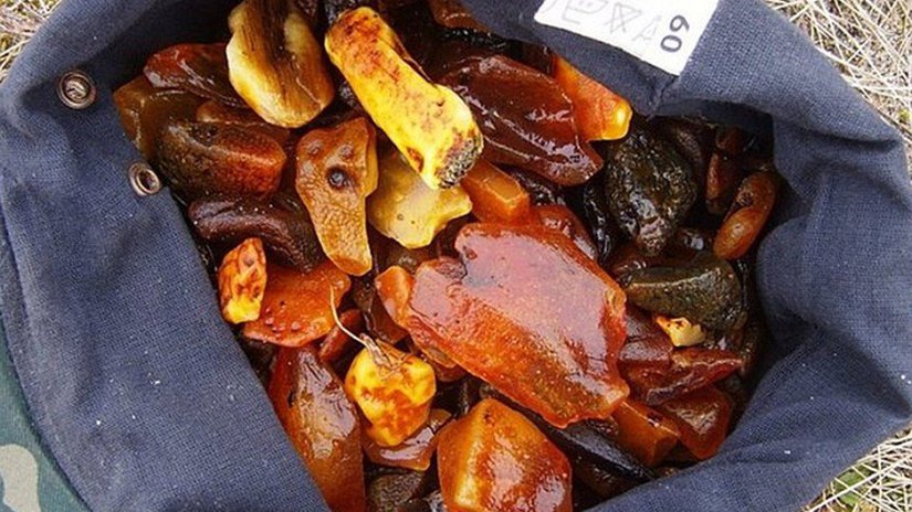 В Совете Федерации одобрили миллионные штрафы за нелегальную добычу янтаря