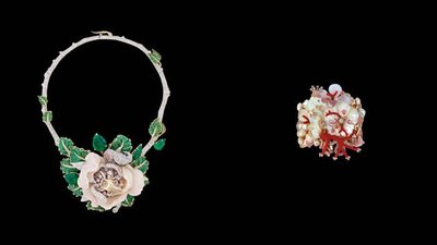 Dior выпускают книгу «Ювелирный словарь Виктуар де Кастеллан»