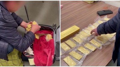 ФСБ России пресечена попытка контрабанды золота в крупном размере