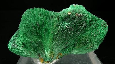 Ювелир Надежда Бойко рассказала о самом недооцененном камне в РФ