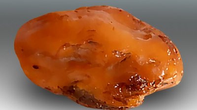 «Чудотворец» пополнил коллекцию янтарных самородков