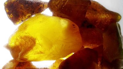 В Калининграде реконструировали Кёнигсбергский музей янтаря