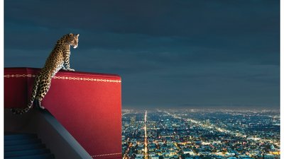 Дом Cartier запустил новую платформу Cartier Care для клиентов