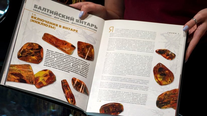 Уникальное издание о балтийском янтаре стало доступно для гостей Калининградского янтарного комбината
