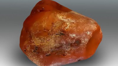 «Суворов» стал третьим самородком, добытым на Янтарном комбинате в этом году