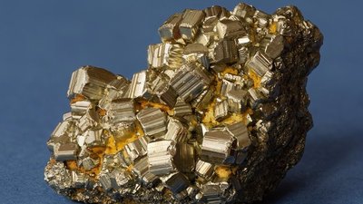 "Золото дураков" внезапно оказалось полезным