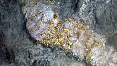 "Алроса" займется поисками Рэдергинского золота