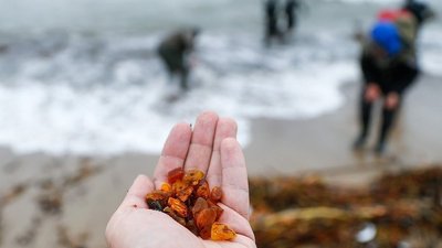 В Калининградской области впервые отметят День янтаря