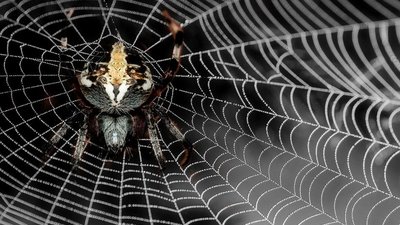 Крупные ювелирные сети планируют зарубежную экспансию