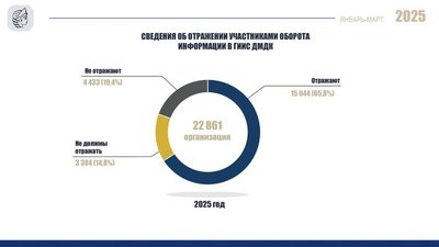 ФПП: Более 65% участников оборота отразили информацию в ГИИС ДМДК в I квартале 2025 года