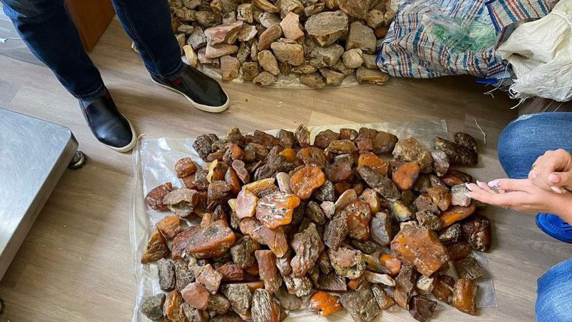 У жительницы Калининградской области полицейские изъяли 31 кг янтаря на 3,8 млн рублей