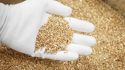 SOKOLOV удвоил объемы производства в 2021 году