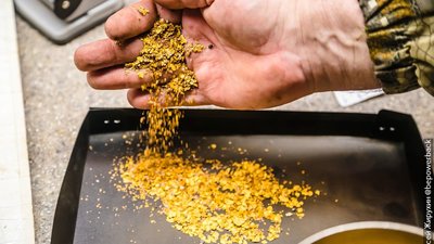 Китайцев привлекли за незаконное хранение и перевозку драгметаллов