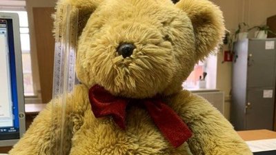 Плюшевая контрабанда: Белгородские таможенники обнаружили ювелирные изделия в игрушке