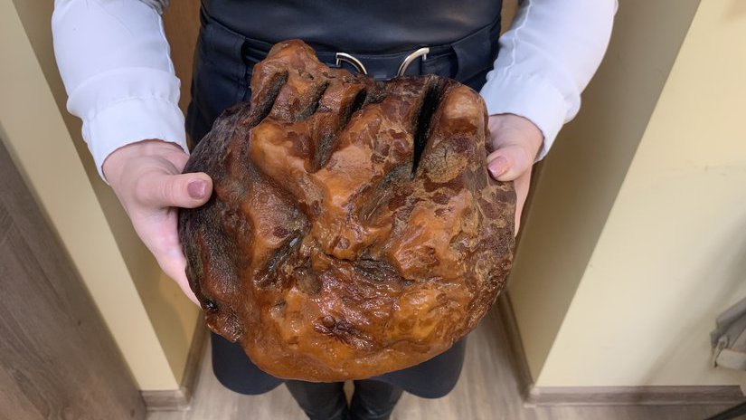 В Карьере Янтарного комбината обнаружена "Голова тигра" весом 2,7 кг