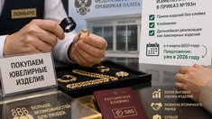 «Опора России» предложила ускорить введение новых правил приема ломбардами изделий без клейма