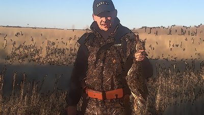 Народного избранника могут осудить на 10 лет за мошенничество с изумрудами