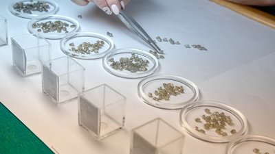 АЛРОСА представила результаты продаж за сентябрь 2021 г.